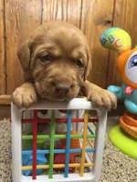 processed/3a1f43d2-8da3-49d8-bd2b-459a51845cf0/listing/a381fe0b-051e-4503-a35f-bc9852f9c2fb/5d89bd5d-6b7b-4279-a1a2-97c77f5d06b3