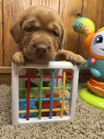 processed/3a1f43d2-8da3-49d8-bd2b-459a51845cf0/listing/a381fe0b-051e-4503-a35f-bc9852f9c2fb/5df4dafc-5ba2-44cb-ac97-c2bb0c3ab35b