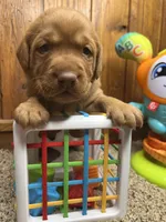 processed/3a1f43d2-8da3-49d8-bd2b-459a51845cf0/listing/a381fe0b-051e-4503-a35f-bc9852f9c2fb/6d438454-b70b-44a7-b837-d091ca52fd77