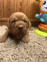 processed/3a1f43d2-8da3-49d8-bd2b-459a51845cf0/listing/a381fe0b-051e-4503-a35f-bc9852f9c2fb/957479c3-1a9c-484f-851e-2ed18ff521d2