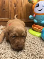 processed/3a1f43d2-8da3-49d8-bd2b-459a51845cf0/listing/a381fe0b-051e-4503-a35f-bc9852f9c2fb/d120c2c2-2948-48b3-9910-08c8e64aca19