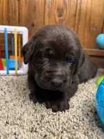 processed/3a1f43d2-8da3-49d8-bd2b-459a51845cf0/listing/c9b3315c-b703-4f22-a1c2-b629fb4be8a7/1a414d9a-d2df-471e-aa7c-ac651dae1f94