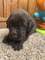 processed/3a1f43d2-8da3-49d8-bd2b-459a51845cf0/listing/c9b3315c-b703-4f22-a1c2-b629fb4be8a7/23ff886b-28ec-4855-b912-f0be3229ea43