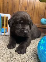 processed/3a1f43d2-8da3-49d8-bd2b-459a51845cf0/listing/c9b3315c-b703-4f22-a1c2-b629fb4be8a7/98a7ed3c-4736-47ba-8b41-81191e210fe2