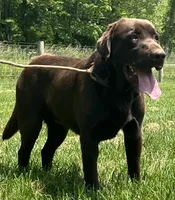 processed/3a1f43d2-8da3-49d8-bd2b-459a51845cf0/listing/c9b3315c-b703-4f22-a1c2-b629fb4be8a7/9f203053-43a8-45a2-a0b7-994c5a083752