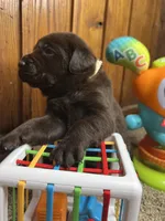 processed/3a1f43d2-8da3-49d8-bd2b-459a51845cf0/listing/c9b3315c-b703-4f22-a1c2-b629fb4be8a7/d1dbe92f-4135-4cc2-ab45-6cc4f5bfc07b