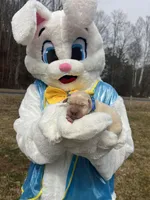 AKC Labrador Retriever , a male Labrador Retriever for sale in White Sulphur Springs, WV – Photo 2 of 2