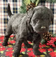 processed/3a22cf58-80c4-4600-8f87-fecfabac58d3/listing/1e7fd9d0-9a70-4b22-bb21-c9dc055a8c52/2d39c111-2960-4138-8730-623d73fc7d3d