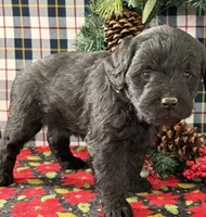 processed/3a22cf58-80c4-4600-8f87-fecfabac58d3/listing/1e7fd9d0-9a70-4b22-bb21-c9dc055a8c52/53f7b9dc-ca7e-4df1-babc-fc4d1977f341