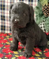 processed/3a22cf58-80c4-4600-8f87-fecfabac58d3/listing/1e7fd9d0-9a70-4b22-bb21-c9dc055a8c52/d857be11-a4fc-497a-a7b9-6fa474d674aa