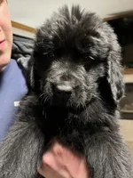 processed/3a24cadc-4bb2-4a47-930f-f72dd78e7395/listing/2df4e5e0-92e8-41f2-a620-3afe0f8b6486/c54a0fd8-16d9-4c91-9a85-fcde788d594d