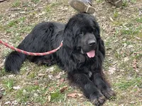 processed/3a24cadc-4bb2-4a47-930f-f72dd78e7395/listing/49745c2f-8730-47d8-92e3-89f8aa0389c6/711b3785-15cd-4c21-a40a-7235ef10c6de