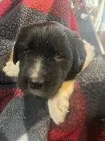 processed/3a24cadc-4bb2-4a47-930f-f72dd78e7395/listing/49745c2f-8730-47d8-92e3-89f8aa0389c6/a9b4dc6c-716b-4125-8226-659fc1e77bcd