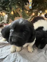 processed/3a24cadc-4bb2-4a47-930f-f72dd78e7395/listing/49745c2f-8730-47d8-92e3-89f8aa0389c6/bb9d9534-7fea-4dbb-976d-916919a9790c