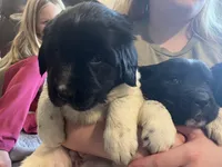 processed/3a24cadc-4bb2-4a47-930f-f72dd78e7395/listing/49745c2f-8730-47d8-92e3-89f8aa0389c6/c32b14d0-8a71-47de-9c19-273087e54e4a