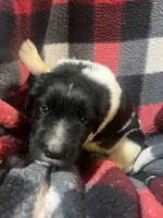 processed/3a24cadc-4bb2-4a47-930f-f72dd78e7395/listing/49745c2f-8730-47d8-92e3-89f8aa0389c6/ca92909a-1467-4154-a072-2b8a659f1e1e