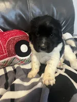 processed/3a24cadc-4bb2-4a47-930f-f72dd78e7395/listing/49745c2f-8730-47d8-92e3-89f8aa0389c6/d0e379cc-b958-4aed-9a30-08cf816ddde5