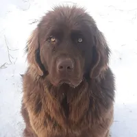 processed/3a24cadc-4bb2-4a47-930f-f72dd78e7395/listing/49745c2f-8730-47d8-92e3-89f8aa0389c6/fcecebd2-a0c7-47fd-8175-70cfa33d71b0