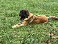 processed/3a24cadc-4bb2-4a47-930f-f72dd78e7395/listing/887c3998-1c38-474f-9306-80c574c07d45/2d154726-b02b-46b6-91a4-998dd06934b1