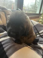 processed/3a24cadc-4bb2-4a47-930f-f72dd78e7395/listing/887c3998-1c38-474f-9306-80c574c07d45/660e7031-0e82-4948-8e77-581020399447