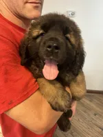 processed/3a24cadc-4bb2-4a47-930f-f72dd78e7395/listing/887c3998-1c38-474f-9306-80c574c07d45/69752153-3ded-48f8-ab6b-973dc392f2f8