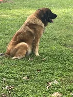 processed/3a24cadc-4bb2-4a47-930f-f72dd78e7395/listing/887c3998-1c38-474f-9306-80c574c07d45/7228b0f7-89fe-4b14-bcd0-7811966c7020