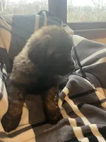 processed/3a24cadc-4bb2-4a47-930f-f72dd78e7395/listing/887c3998-1c38-474f-9306-80c574c07d45/ab2ee6aa-336c-4442-8468-cdfbc892546d