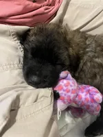 processed/3a24cadc-4bb2-4a47-930f-f72dd78e7395/listing/887c3998-1c38-474f-9306-80c574c07d45/af97aec5-fd28-4633-9aa7-7d36ce6204d0