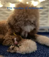 processed/3a2dafb4-b941-43b7-9c39-118007c76785/facility/6bdf2776-2227-4468-af0a-db6ad6e53285