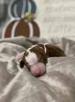 processed/3a2dafb4-b941-43b7-9c39-118007c76785/facility/70702a67-10e6-453e-954d-bbb4cf80e460