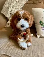 processed/3a2dafb4-b941-43b7-9c39-118007c76785/facility/9f04b546-a434-48c0-a1f6-8881a55b6e41