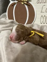 processed/3a2dafb4-b941-43b7-9c39-118007c76785/facility/9f98200b-f450-49b9-845d-aa9b64aa9137