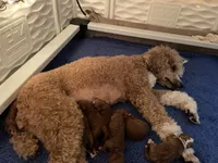 processed/3a2dafb4-b941-43b7-9c39-118007c76785/facility/f631eab1-be7f-4e81-8668-f5e82107f2ea