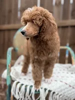 processed/3a2dafb4-b941-43b7-9c39-118007c76785/listing/338ec011-481b-4836-bac3-2b80abc2d98b/01221681-fbeb-47a3-bb74-0f511fdfb0fe