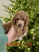 processed/3a2dafb4-b941-43b7-9c39-118007c76785/listing/a767c61f-af65-4a5a-a2c0-ef457f87a16f/089d0843-99d5-4f30-b488-0052ec63a82b