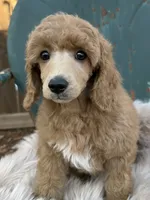 processed/3a2dafb4-b941-43b7-9c39-118007c76785/listing/a767c61f-af65-4a5a-a2c0-ef457f87a16f/2cd580e6-941b-4e71-bbe2-f6fa784d9a7b