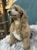 processed/3a2dafb4-b941-43b7-9c39-118007c76785/listing/a767c61f-af65-4a5a-a2c0-ef457f87a16f/d843cb81-57a9-4033-a34b-974e6eff4610