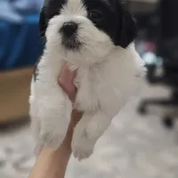 processed/3a3e6011-cdd1-4dee-9939-8dada257e86b/facility/20abf068-2ebe-42e8-a228-0529dc0ee2cd