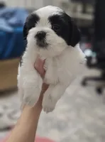 processed/3a3e6011-cdd1-4dee-9939-8dada257e86b/facility/20abf068-2ebe-42e8-a228-0529dc0ee2cd