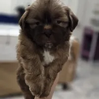 processed/3a3e6011-cdd1-4dee-9939-8dada257e86b/facility/661c99b6-1e96-4e4b-9289-d6297c398ae7