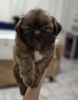 processed/3a3e6011-cdd1-4dee-9939-8dada257e86b/facility/661c99b6-1e96-4e4b-9289-d6297c398ae7