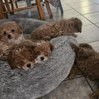 processed/3a3e6011-cdd1-4dee-9939-8dada257e86b/facility/6b219080-6030-4731-abca-1b774ba41a82