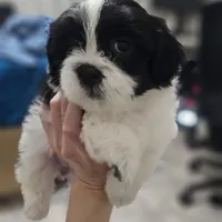 processed/3a3e6011-cdd1-4dee-9939-8dada257e86b/facility/8a9bf4c7-10b3-49ae-87d8-61945cf5f42c