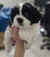 processed/3a3e6011-cdd1-4dee-9939-8dada257e86b/facility/8a9bf4c7-10b3-49ae-87d8-61945cf5f42c