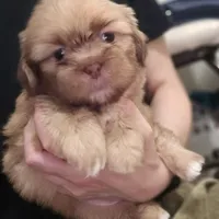 processed/3a3e6011-cdd1-4dee-9939-8dada257e86b/facility/91b466bb-2187-4ebc-a93a-f41d171ffd7d