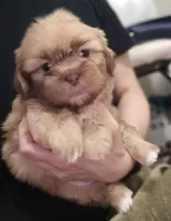 processed/3a3e6011-cdd1-4dee-9939-8dada257e86b/facility/91b466bb-2187-4ebc-a93a-f41d171ffd7d