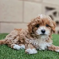 processed/3a3e6011-cdd1-4dee-9939-8dada257e86b/facility/91bbadac-f464-45db-b8cd-516f600a14a6