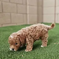 processed/3a3e6011-cdd1-4dee-9939-8dada257e86b/facility/a5f07ba2-52c6-4f8b-aa89-d475a8982d5a