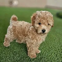 processed/3a3e6011-cdd1-4dee-9939-8dada257e86b/facility/c593e0da-32a2-4996-a6bb-c585f5ba115f