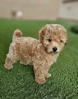 processed/3a3e6011-cdd1-4dee-9939-8dada257e86b/facility/c593e0da-32a2-4996-a6bb-c585f5ba115f